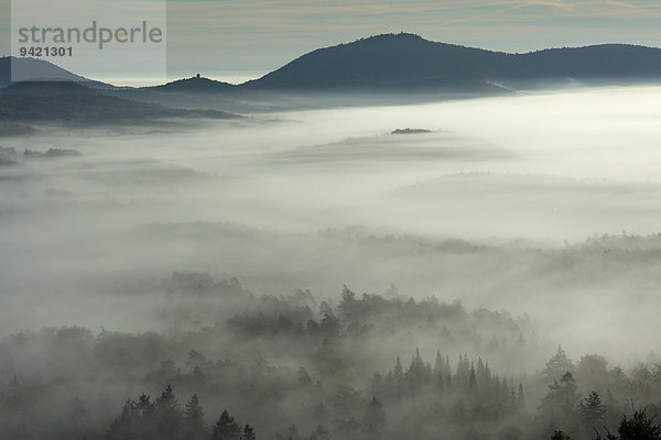 Pfälzer Wald  von der Burgruine Lindelbrunn  Dahner Felsenland  Dahn  Pfalz  Rheinland-Pfalz  Deutschland