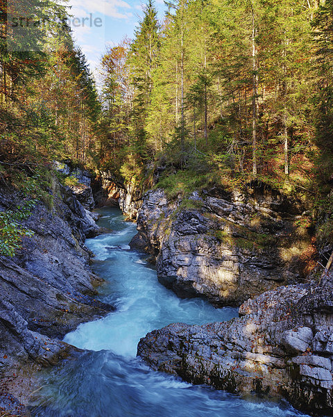 Rissbach im Herbst  Risstal  Tirol  Österreich