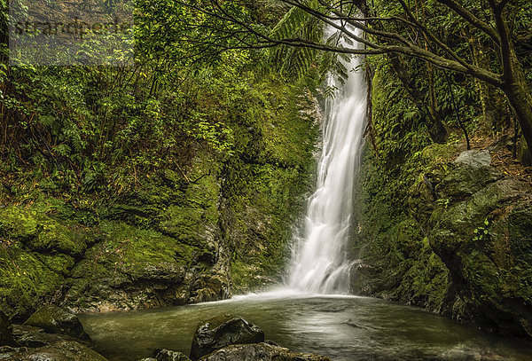 Ohau Wasserfall  Route 1  Kaikoura  Neuseeland