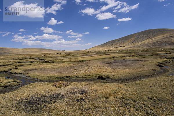 Die bolivianische Hochebene Altiplano  La Paz  Bolivien