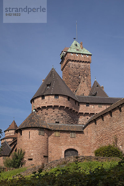 Château du Haut-Koenigsbourg  Hohkönigsburg  Elsass  Frankreich