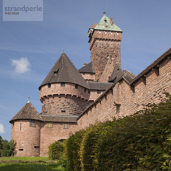 Château du Haut-Koenigsbourg  Hohkönigsburg  Elsass  Frankreich