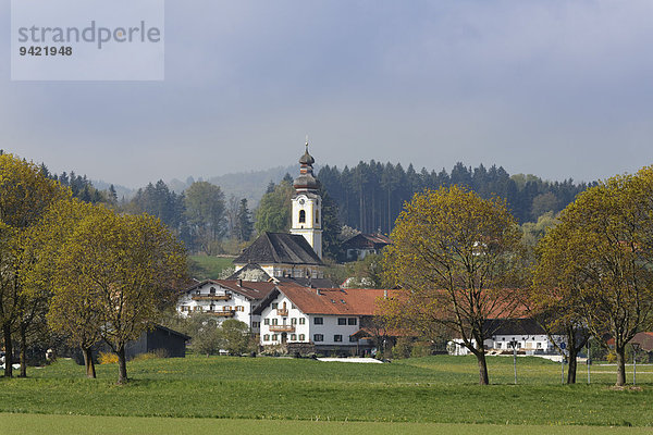 Heilig-Kreuz-Kirche  Berbling  Bad Aibling  Oberbayern  Bayern  Deutschland