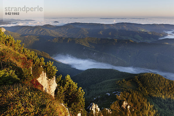 Ausblick vom Alberfeldkogel über Langbathsee im Nebel  Feuerkogel-Gebiet  Höllengebirge  Salzkammergut  Oberösterreich  Österreich