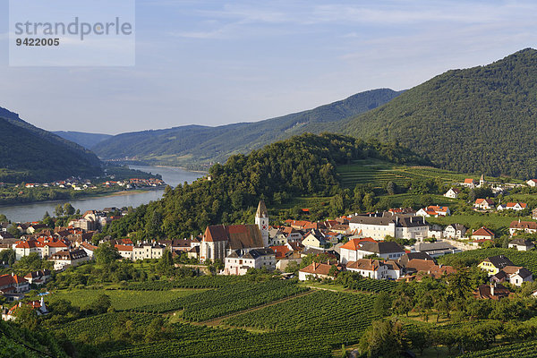 Ortsansicht  Spitz an der Donau  Donau  Wachau  Waldviertel  Niederösterreich  Österreich