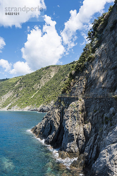 Weg an Steilküste  Via dell'Amore  Weg der Liebe  Cinque Terre  Ligurien  Italien
