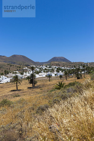 Das Bergdorf Haría mit seinen weißen Häusern  hinten der Vulkan Monte Corona  Maguez  Lanzarote  Kanarische Inseln  Spanien