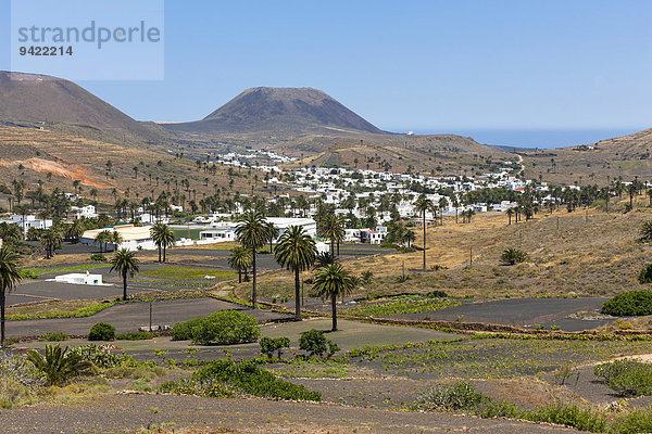 Das Bergdorf Haría mit seinen weissen Häusern  hinten der Vulkan Monte Corona  Maguez  Lanzarote  Kanarische Inseln  Spanien