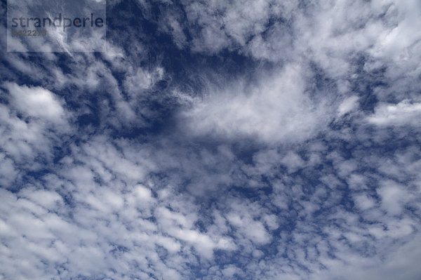 Schäfchenwolken  Schönwetterwolken  Cirrocumuli