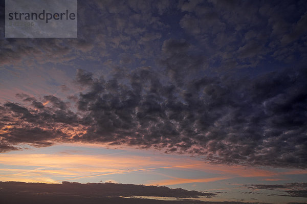 Schäfchenwolken  Altocumulus  am Abendhimmel  Deutschland