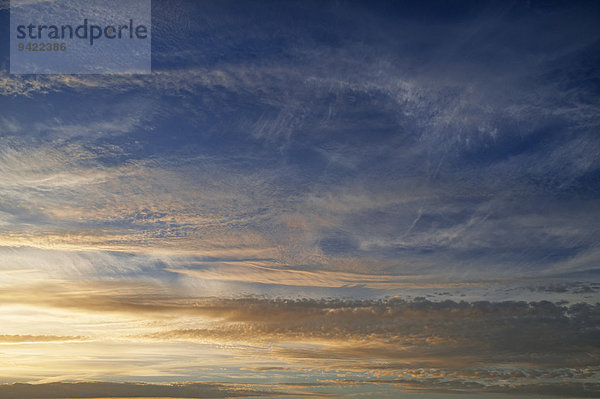Federwolken  Cirrus  und Schäfchenwolken  Altocumulus  am Abendhimmel  Deutschland