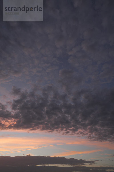 Schäfchenwolken  Altocumulus  am Abendhimmel  Deutschland