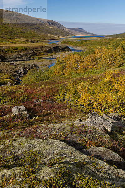 Herbstliche Laubeinfärbung  nahe See Lagarfljót  bei Egilsstaðir  Ostisland  Island