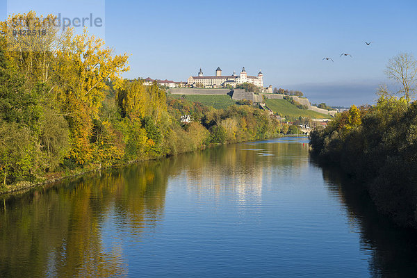 Festung Marienberg auf einem Hügel über der Stadt  mit dem Main vorne  im Herbst  Würzburg  Bayern  Deutschland