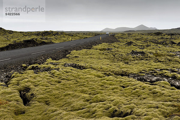 Straße durch Lavafeld  bewachsen von Verlängertem Zackenmützenmoos (Niphotrichum elongatum)  Reykjanes  Island