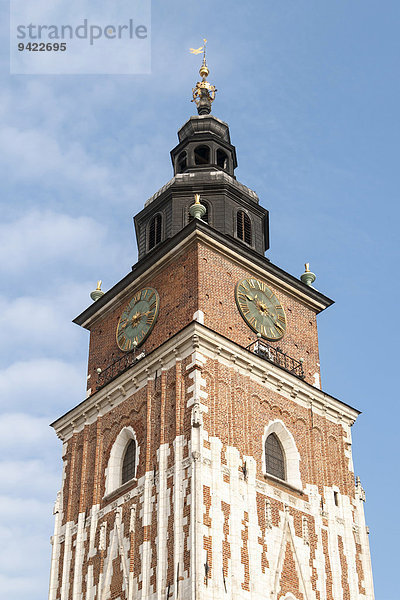 Rathausturm Ratusz auf dem Rynek Glowny oder Hauptmarkt  Krakau  Polen