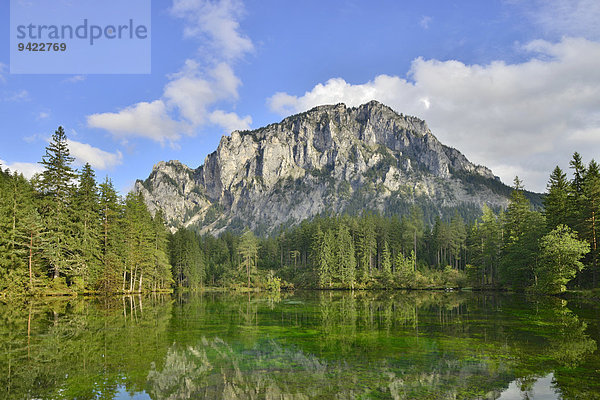 Kreuzteich  Tragöß  Steiermark  Österreich