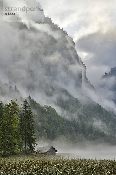 Leopoldsteinersee  Eisenerz  Steiermark  Österreich