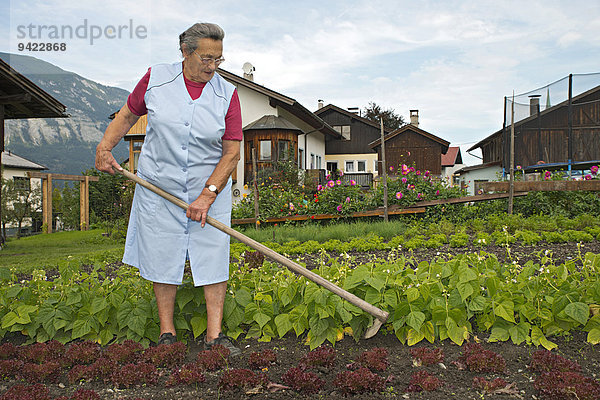 Bäuerin arbeitet am Hof  Unkraut entfernen im Gemüsebeet  Bauernhof der Familie Kreutner  Schwaz  Tirol  Österreich
