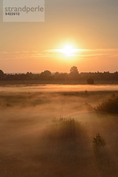 Sonnenaufgang im Recker Moor mit Bodennebel  Recke  Nordrhein-Westfalen  Deutschland