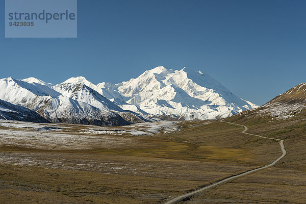 Denali Park Road mit Mount McKinley  Denali-Nationalpark  Alaska  USA