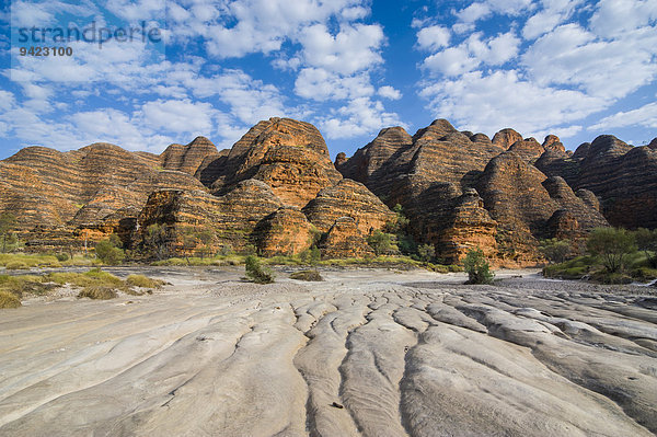 Bungle Bungles  bienenkorbförmige Sandsteintürme  Purnululu-Nationalpark  UNESCO-Weltkulturerbe  Eastern Kimberleys  Western Australia