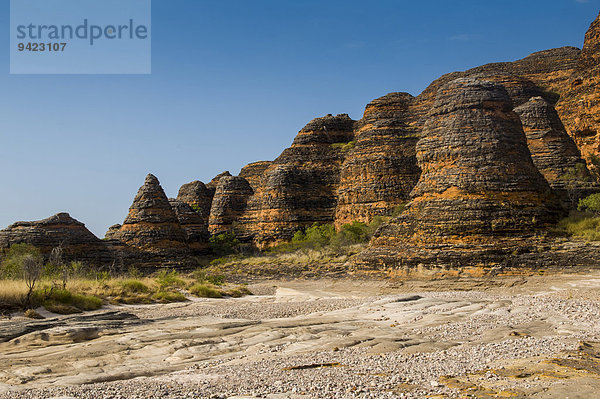 Bungle Bungles  bienenkorbförmige Sandsteintürme  Purnululu-Nationalpark  UNESCO-Weltkulturerbe  Eastern Kimberleys  Western Australia