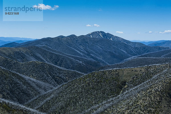 Blick auf Gebirgszug der Australischen Alpen  Victoria  Australien