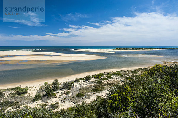 Aussicht auf Buschland und Sanddünen  Cape Conran Coastal Park  Victoria  Australien
