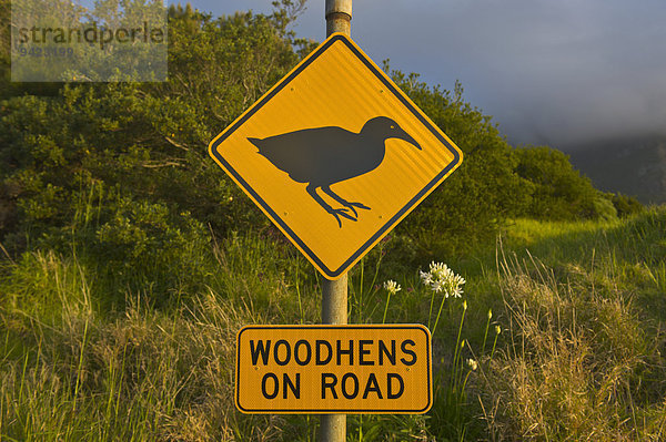 Warnschild Wekarallen queren Straße  Lord Howe Island  New South Wales  Australien