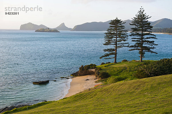 Küste von Lord Howe Island  New South Wales  Australien