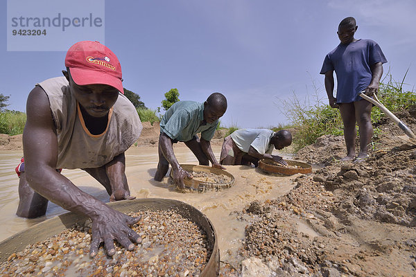 Diamantensucher suchen mit Sieben und Schaufeln in einer Mine nach Diamanten  bei Koidu  Koidu-Sefadu  Kono-Distrikt  Eastern Province  Sierra Leone