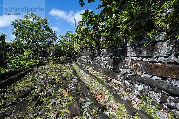 Ruinen der antiken Stadt Nan Madol  Pohnpei  Mikronesien  Central Pacific
