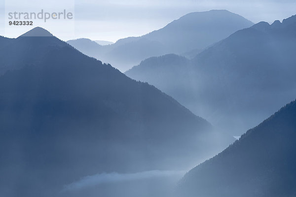 Blaue Stunde mit bewaldetet Berggipfeln  Ammergebirge  Reutte  Außerfern  Tirol  Österreich