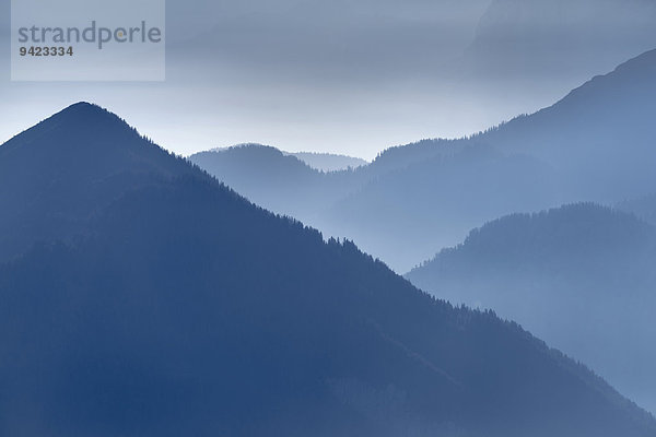 Blaue Stunde mit bewaldetet Berggipfeln  Ammergebirge  Reutte  Außerfern  Tirol  Österreich