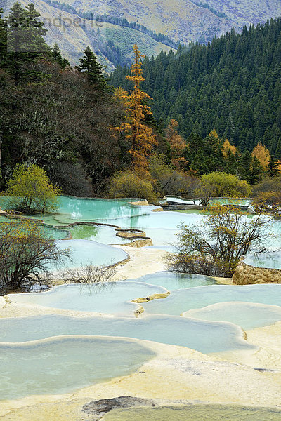 Kalkterrassen mit Seen in herbstlich verfärbter Umgebung  Huanglong Nationalpark  Provinz Sichuan  China