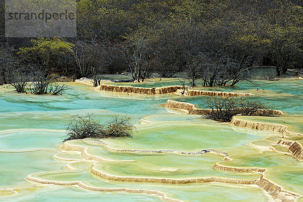 Kalkterrassen mit Seen  Huanglong Nationalpark  Provinz Sichuan  China