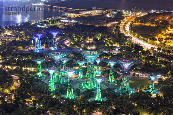 Der Supertree Grove  Gardens by the Bay bei Nacht  Singapur