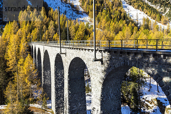 Eisenbahnbrücke  Albula-Passstraße  Herbst  Albulatal  Kanton Graubünden  Schweiz