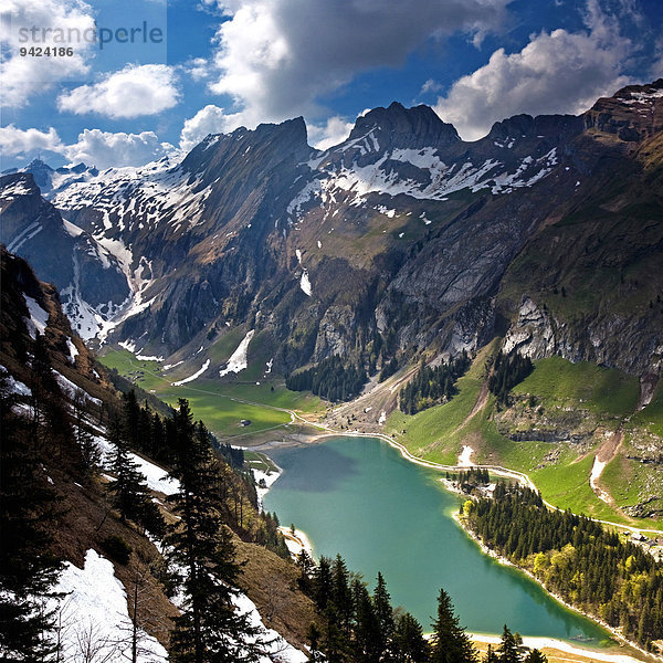 Alpstein mit Seealpsee  Säntis  Schweizer Alpen  Schweiz  Europa