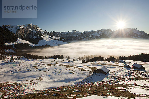 Blick auf den Alpstein mit Säntis und Alm im Schnee  Alpstein  Schweizer Alpen  Schweiz  Europa