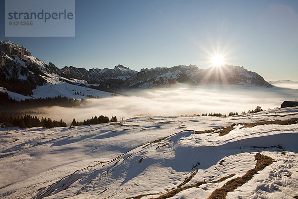 Blick auf den Alpstein mit Säntis und Alm im Schnee  Alpstein  Schweizer Alpen  Schweiz  Europa