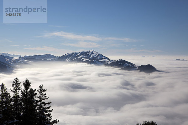 Blick auf den Alpstein mit Säntis und Alm im Schnee  Alpstein  Schweizer Alpen  Schweiz  Europa