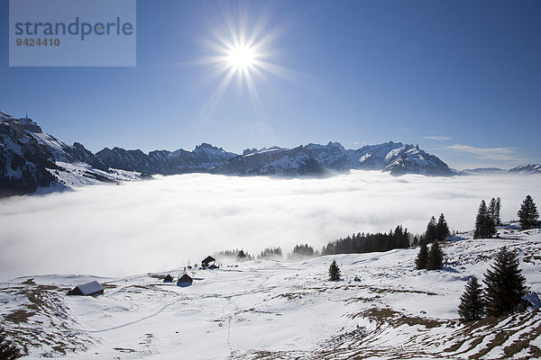 Blick auf den Alpstein mit Säntis und Alm im Schnee  Wolkendecke  Alpstein  Schweizer Alpen  Schweiz  Europa