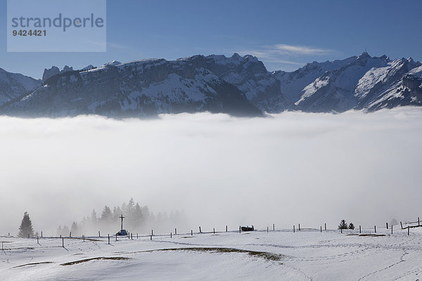 Blick auf den Alpstein mit Säntis und Alm im Schnee  Alpstein  Schweizer Alpen  Schweiz  Europa