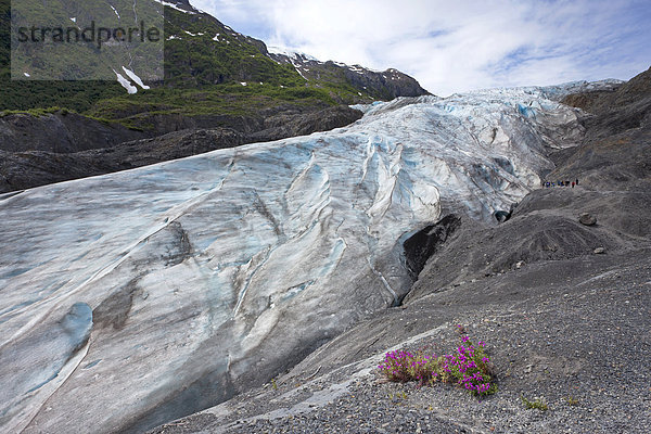 Der Exitgletscher gehört zu den Kenai Mountains und wird von dem Harding Icefield gespeist  Halbinsel Kenai  Alaska  USA