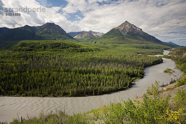 Flusslandschaft am Matanuska River mit King Mountain in Alaska  USA  Nordamerika