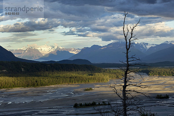 Blick auf den Matanuska River bei Palmer  Alaska  USA