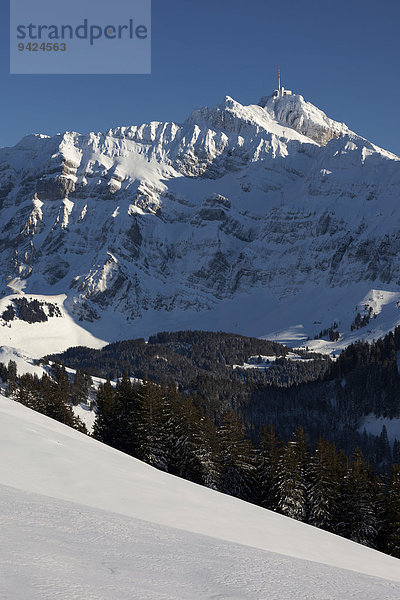 Blick von der Hochalp auf den Alpstein mit Säntis im Winter  Appenzell  St. Gallen  Schweizer Alpen  Schweiz  Europa  ÖffentlicherGrund