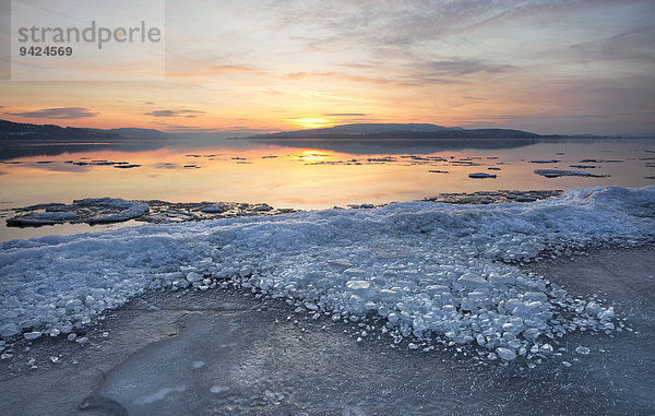 Eis am Bodensee bei Sonnenuntergang im Winter an der Sandseele der Insel Reichenau  Baden-Württemberg  Deutschland  Europa  ÖffentlicherGrund
